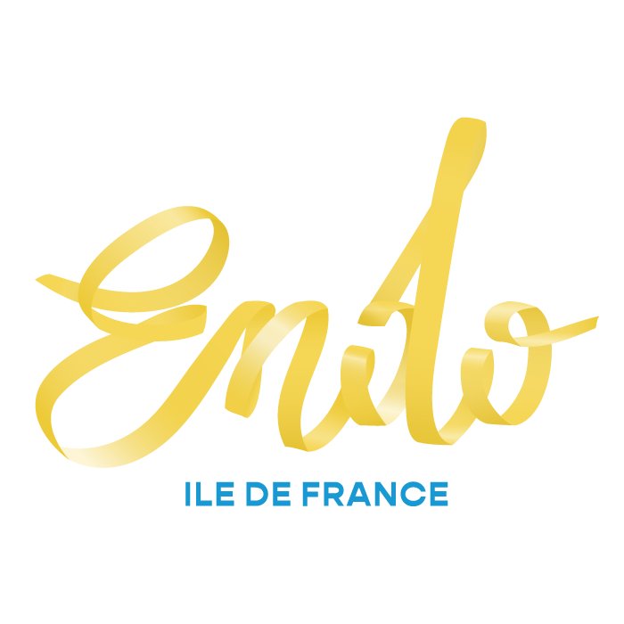 Logo Endo IDF